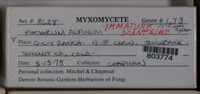 Image Associated With the Occurence